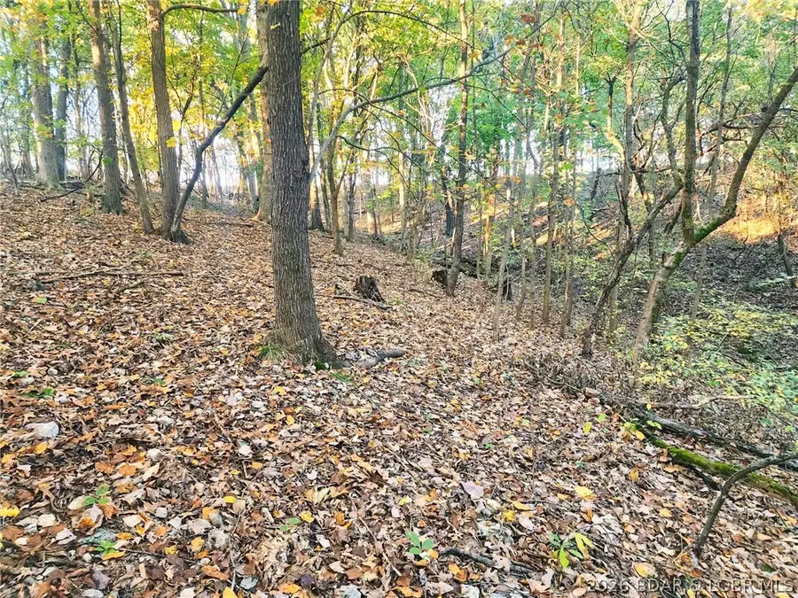 45 Bear Creek Road, Brumley, MO 65017 - #2