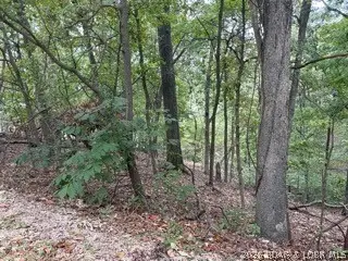 LOT 710A Muirfield Drive, Jasper, MO 65079 - #1