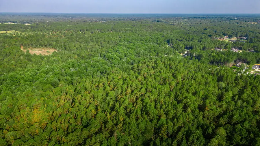 51 AC +/- Refuge Ln., Hattiesburg, MS 39402 - Image #3