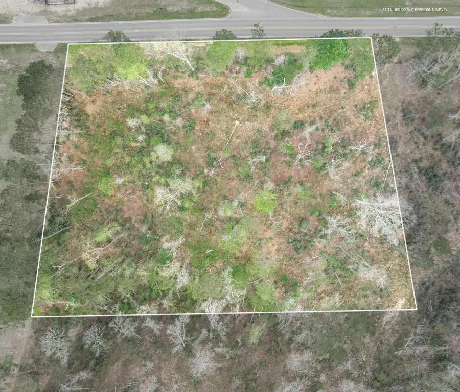 Lot 1 Bridgewater Subdivision, Sumrall, MS 39482 - Image #2