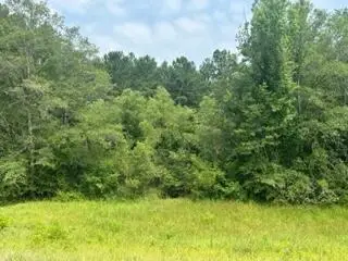 #3