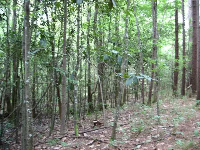 #3
