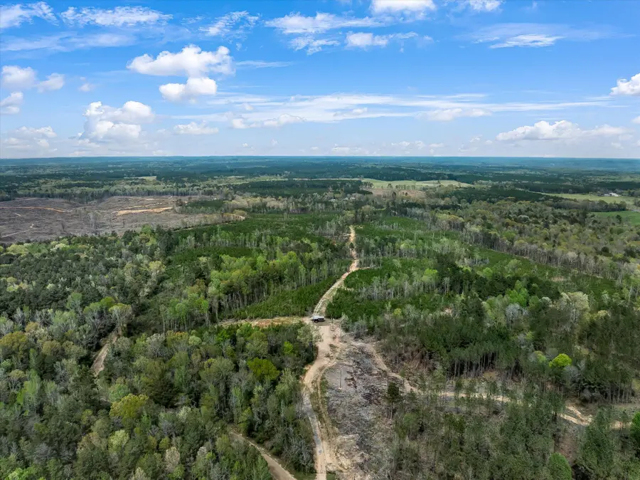 Parcel 2 Stephens Cemetery Rd., Silver Creek, MS 39663 - Image #2