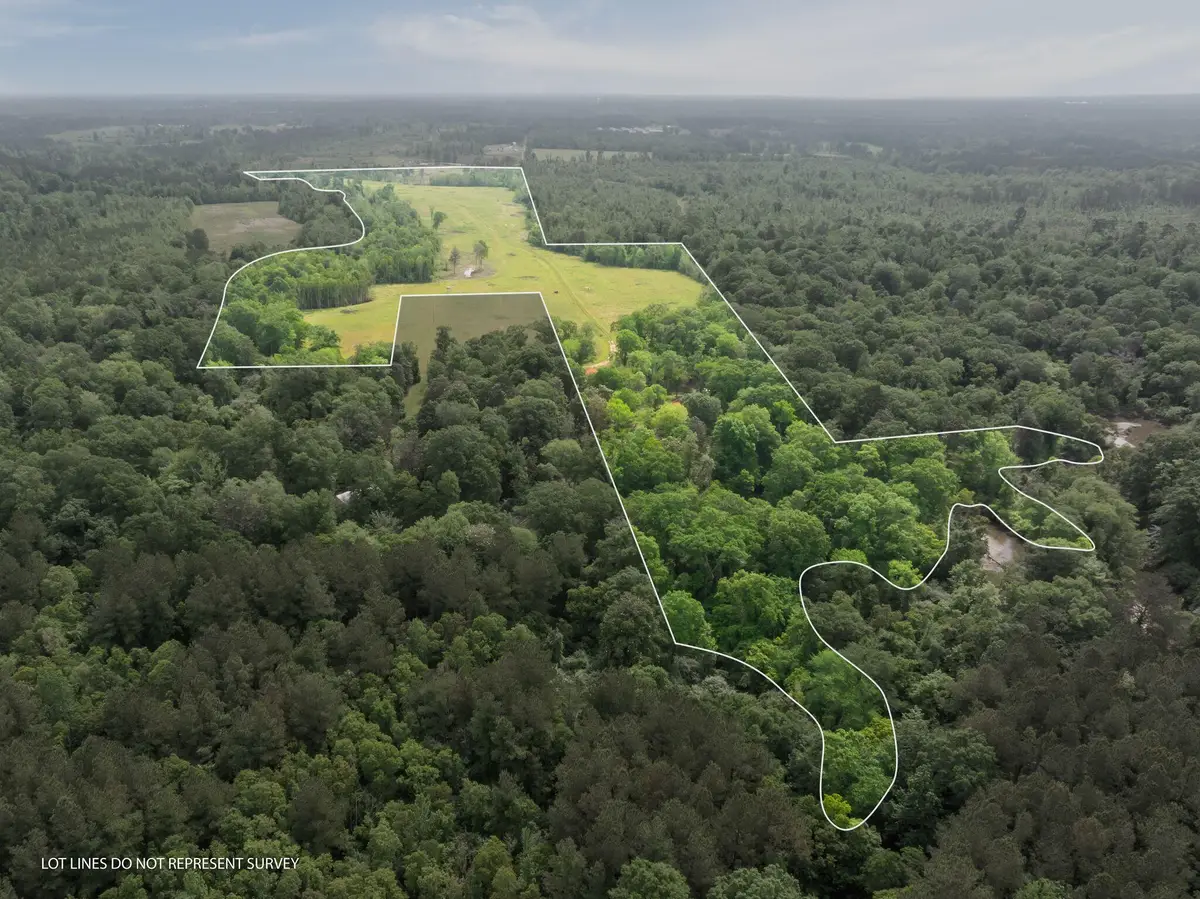 81.64 Acres William Warren Rd., Collins, MS 39428 - #1