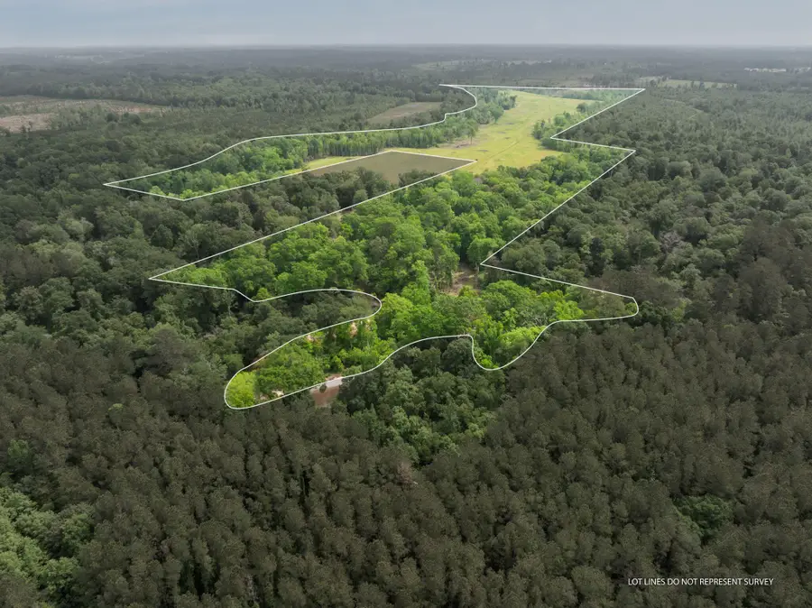 81.64 Acres William Warren Rd., Collins, MS 39428 - #2