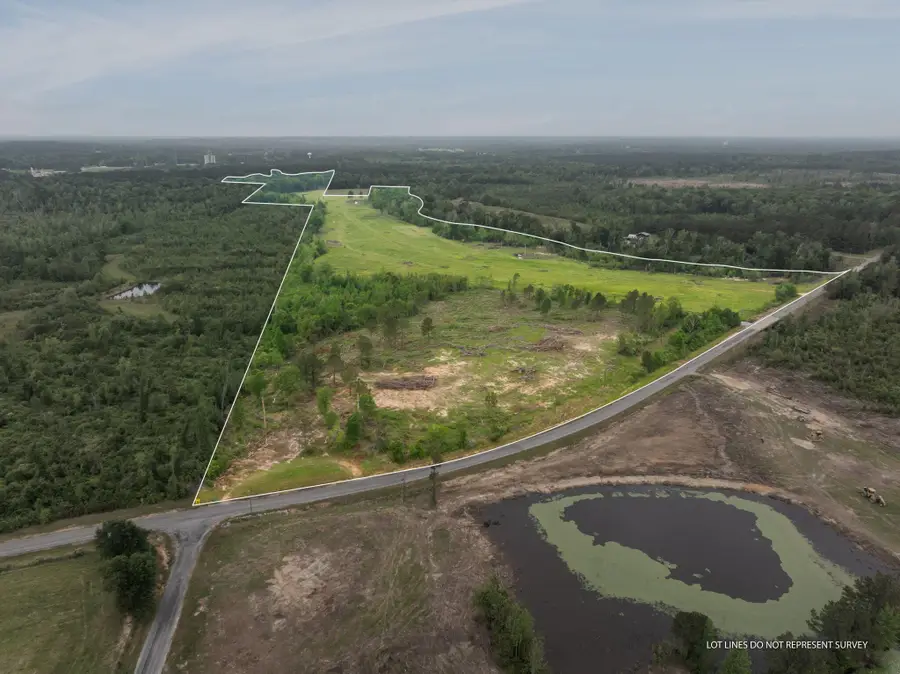 81.64 Acres William Warren Rd., Collins, MS 39428 - #3