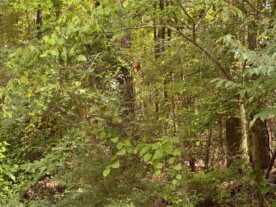 #3