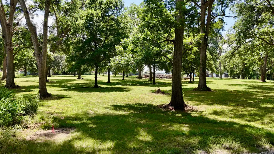 6 Acres Mol Eagle Lake Ms, Vicksburg, MS 39183 - Image #3