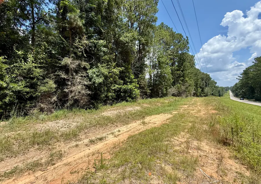 10 Acres Mol Hwy 44, Sumrall, MS 39482 - Image #3