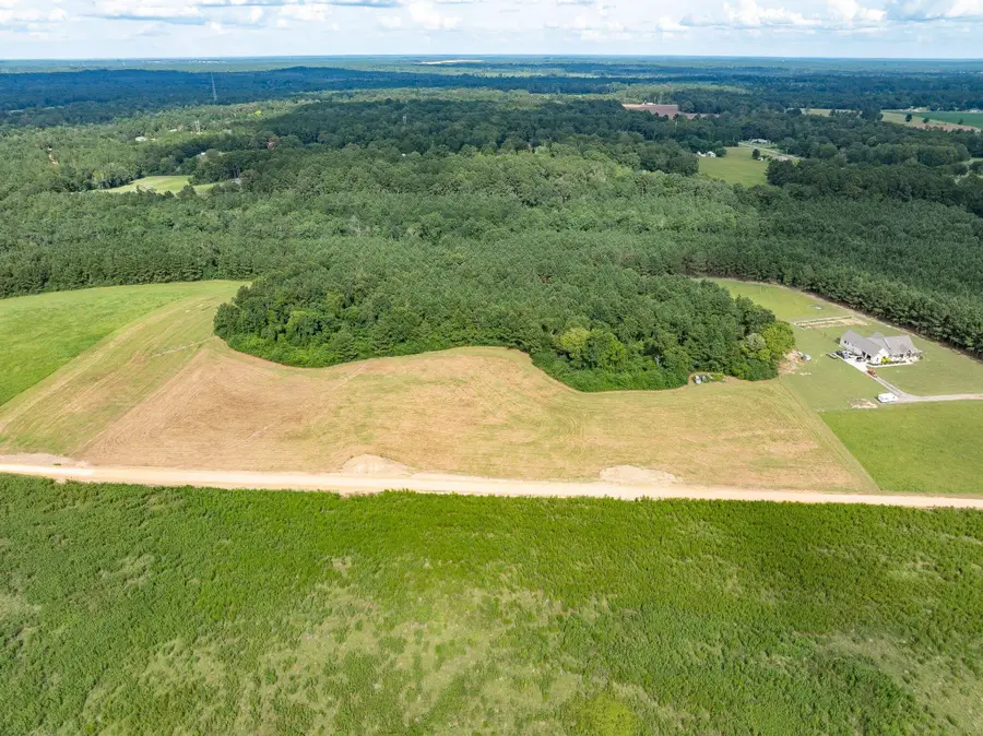 Parcel B J Runnels Rd., Petal, MS 39465 - Image #3