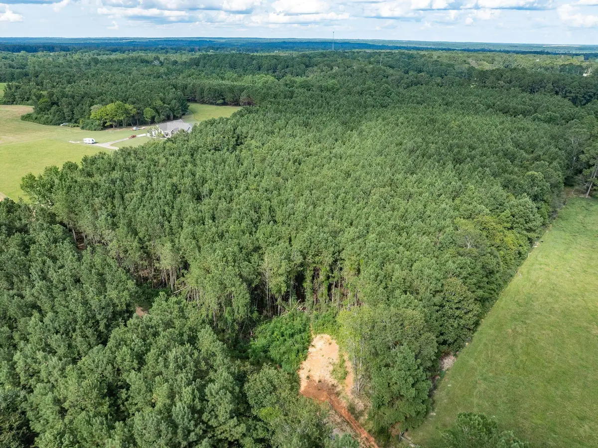 Parcel C J Runnels Rd., Petal, MS 39465 - Image #1