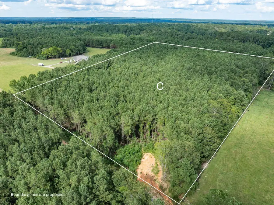 Parcel C J Runnels Rd., Petal, MS 39465 - Image #2