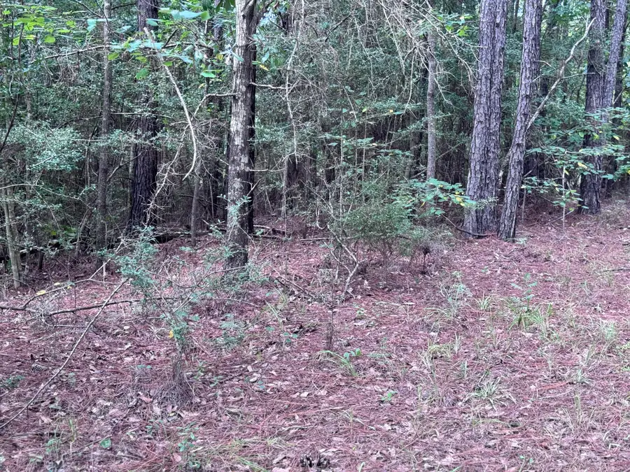 #3