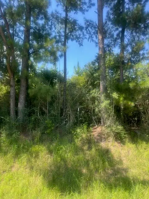 #3