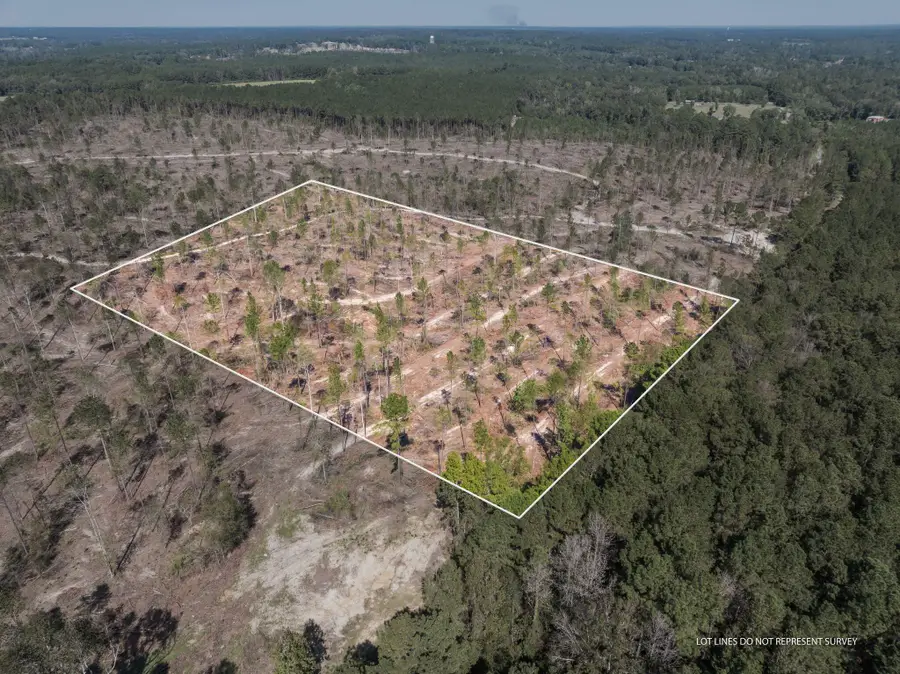 8.24 +/- Acres Noel Townsend Rd., Seminary, MS 39429 - Image #2