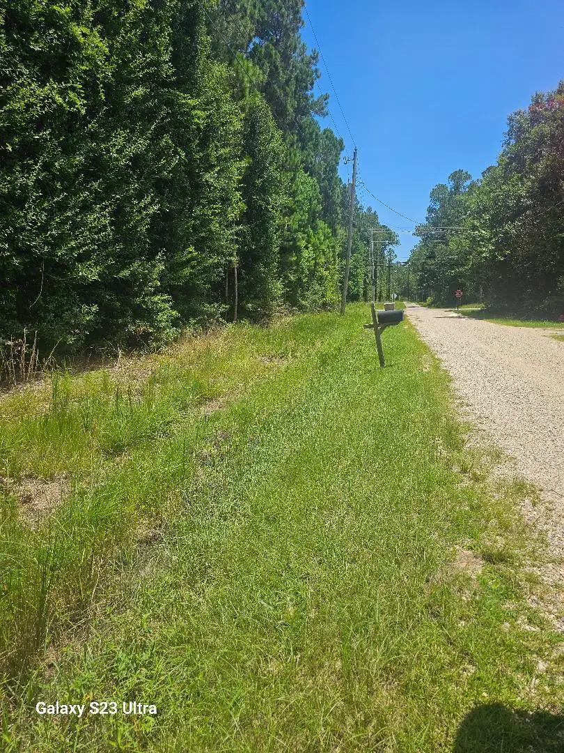 Lot 170 Bisbee, Lumberton, MS 39455 - Image #1