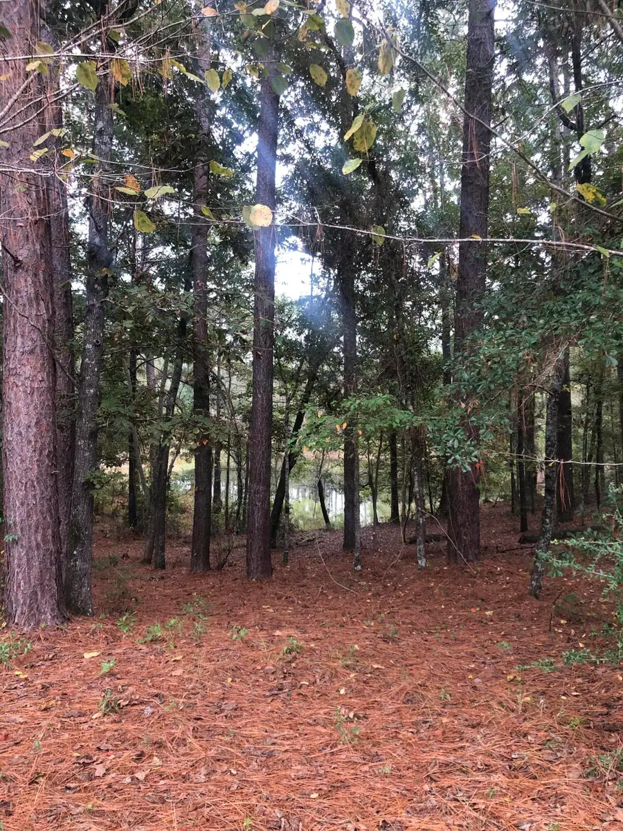 Lot 16 Dogwood Lake Rd., Moselle, MS 39459 - Image #3