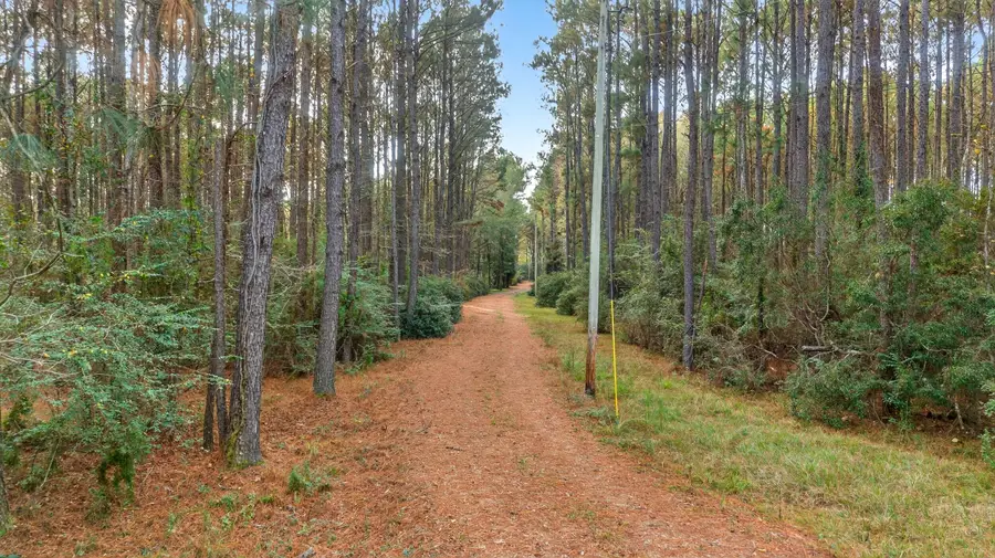 217 Pine Grove Rd, Picayune, MS 39466 - Image #3