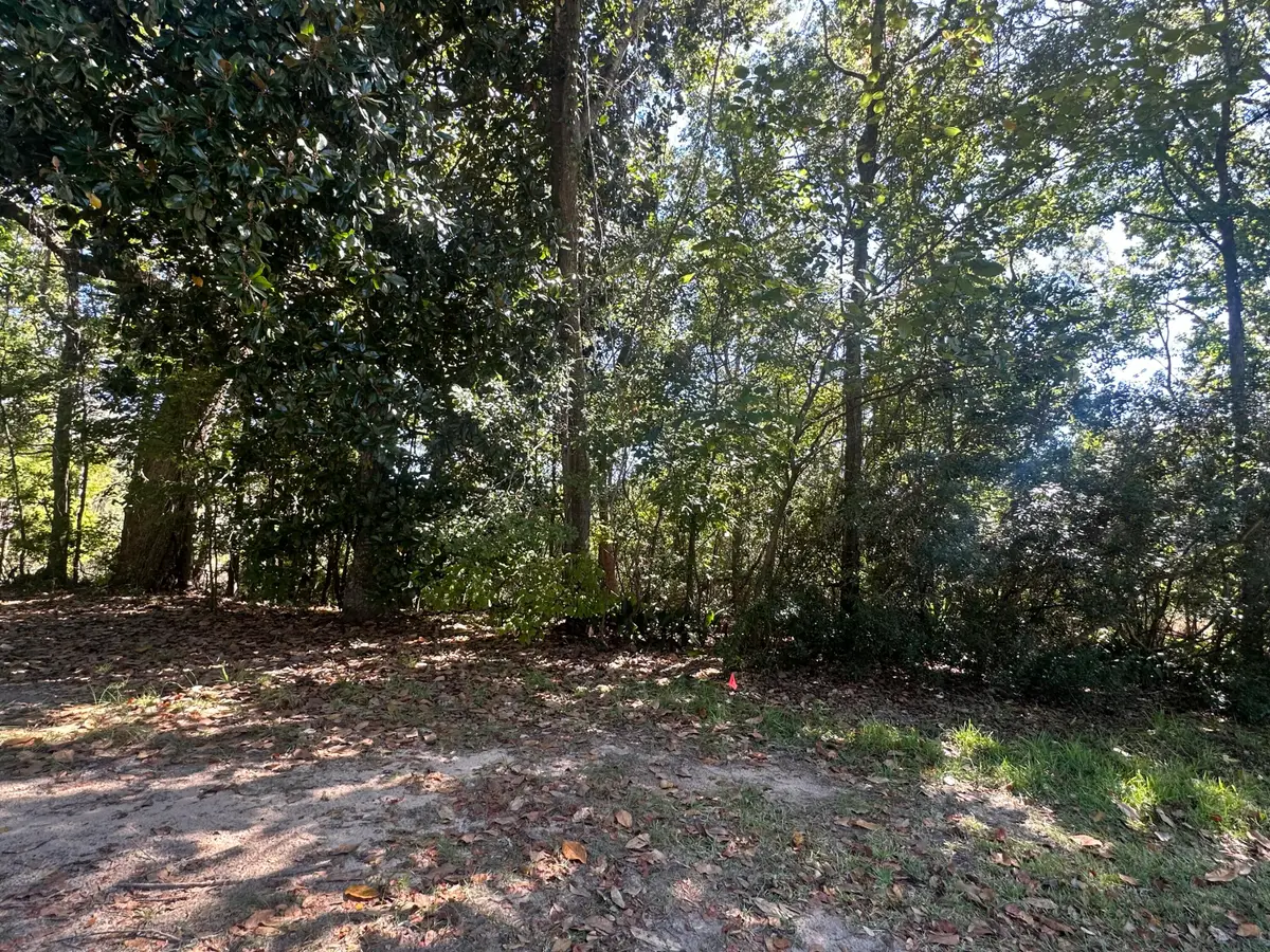 0 Baywood, Moss Point, MS 39563 - Image #1