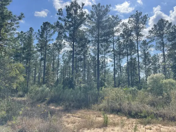 TBD Holly Springs Rd, Foxworth, MS 39483