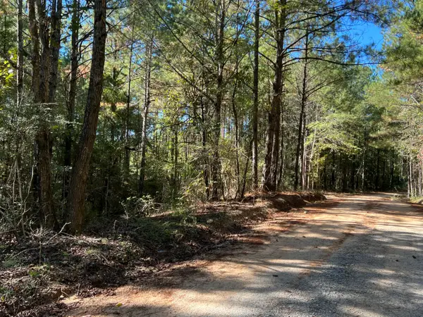 00 County Road 39, Paulding, MS 39348