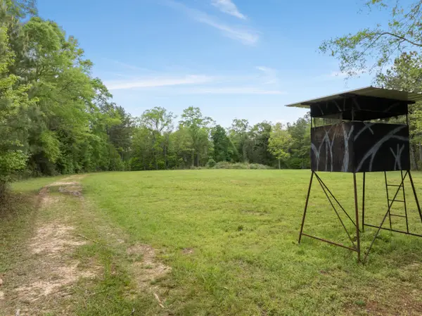 15 Old Hwy 35, Sandy Hook, MS 39478