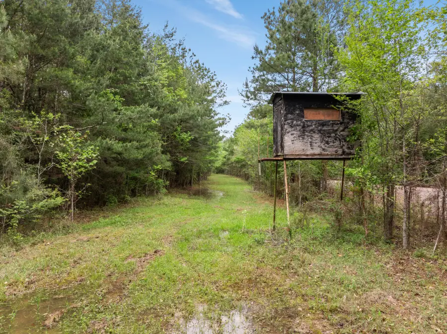 15 Old Hwy 35, Sandy Hook, MS 39478 - Image #2