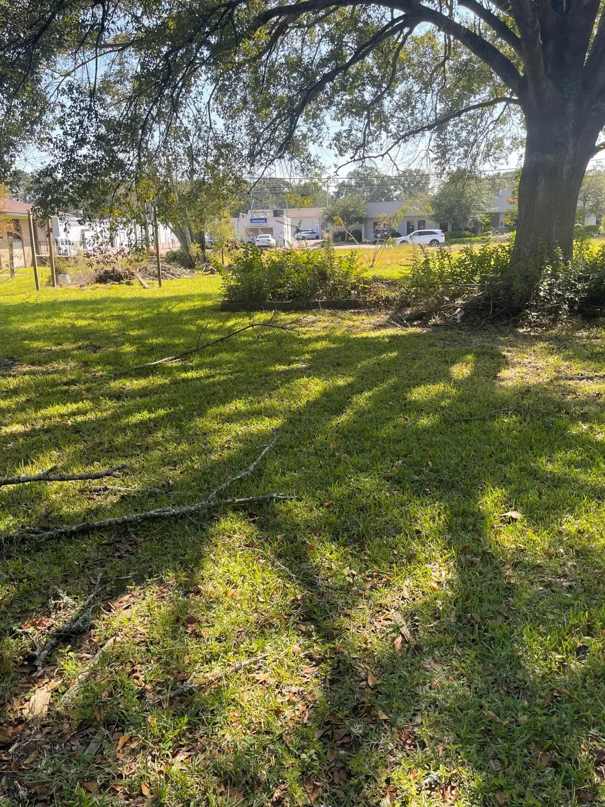 1303 W Pine, Hattiesburg, MS 39401 - Image #1