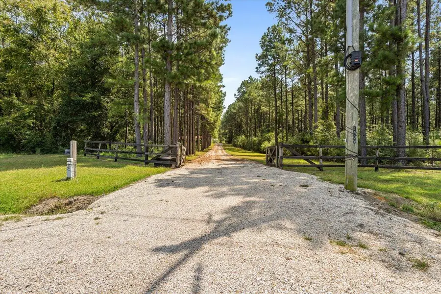 1909 Co Rd 230, Heidelberg, MS 39439 - Image #2