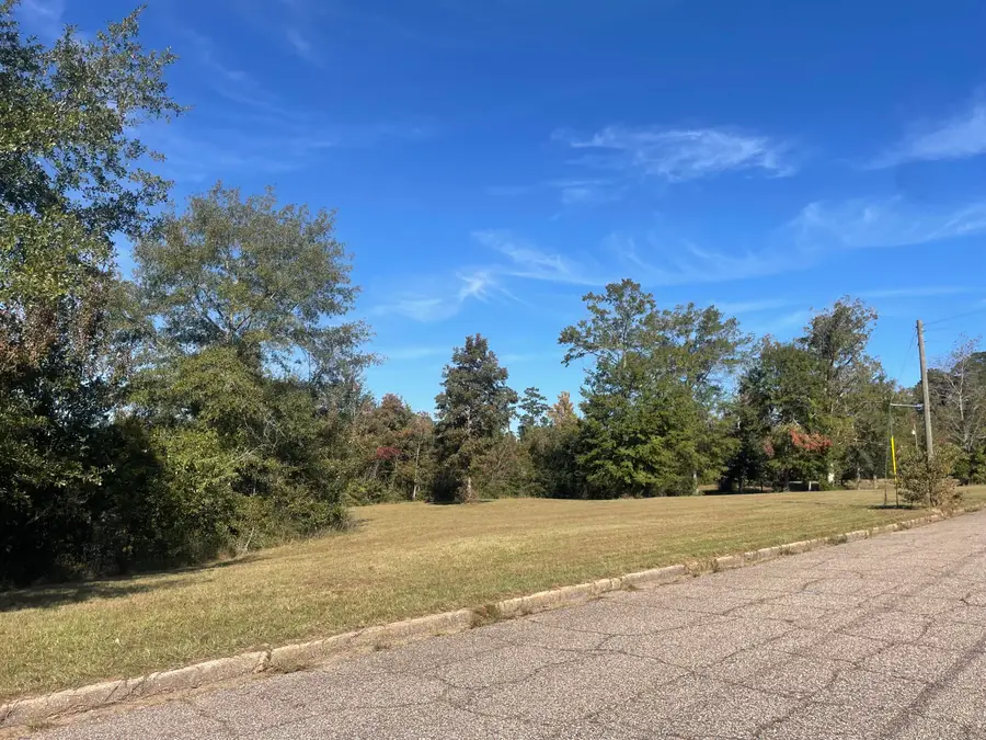 TBD East Lakeview Drive, Columbia, MS 39429 - Image #2