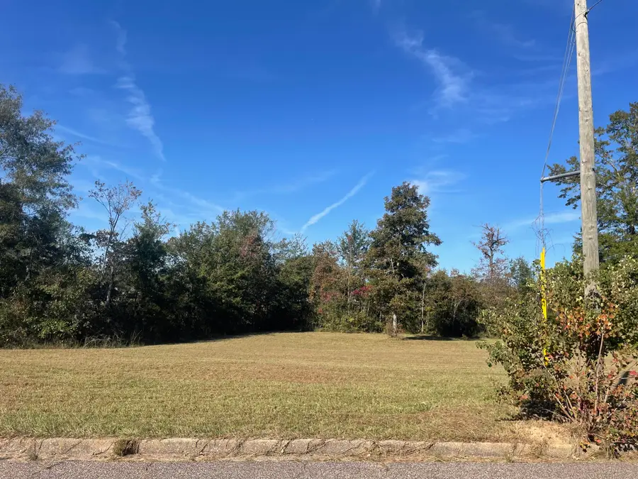 TBD East Lakeview Drive, Columbia, MS 39429 - Image #3