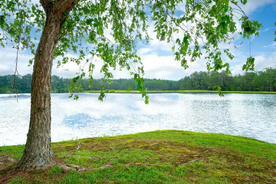 51 Spencer Cove, Hattiesburg, MS 39402 - Image #3