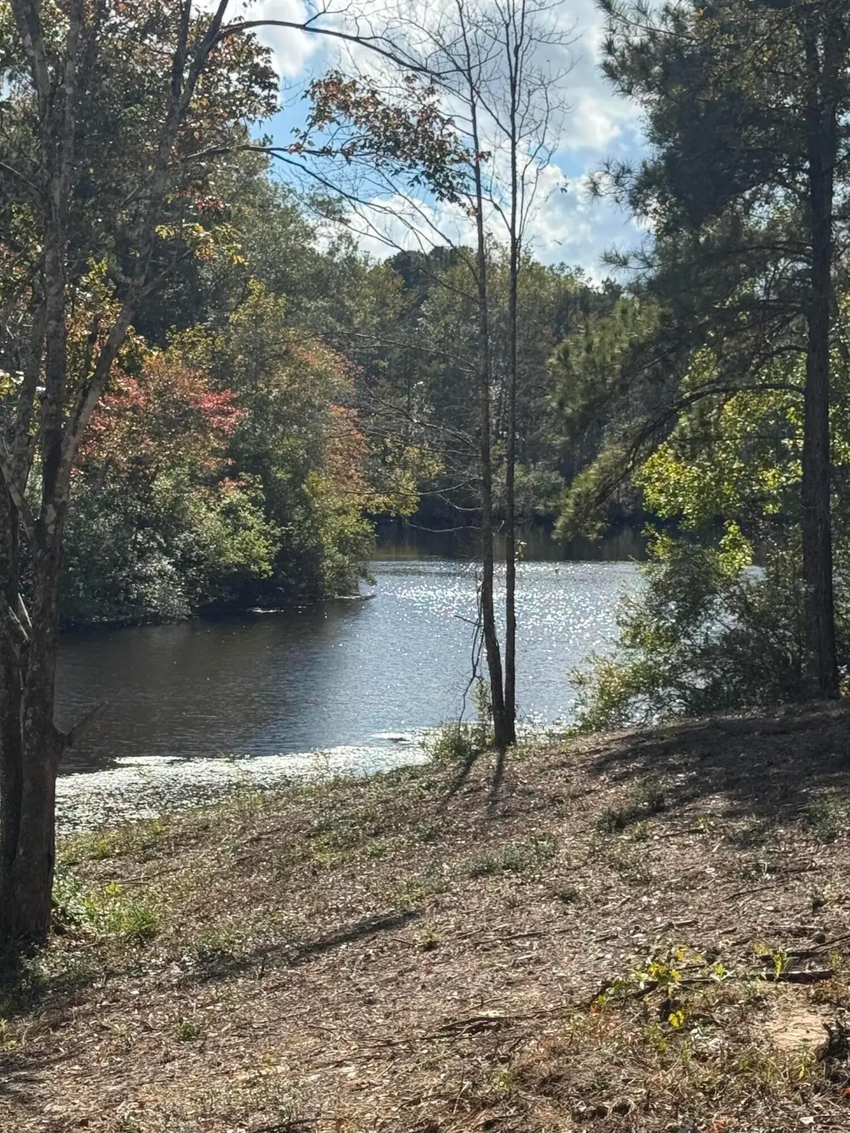 41 Hazel Rogers Dr., Petal, MS 39465 - Image #1