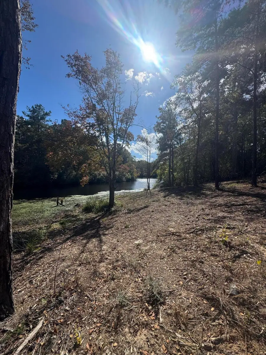 41 Hazel Rogers Dr., Petal, MS 39465 - Image #3