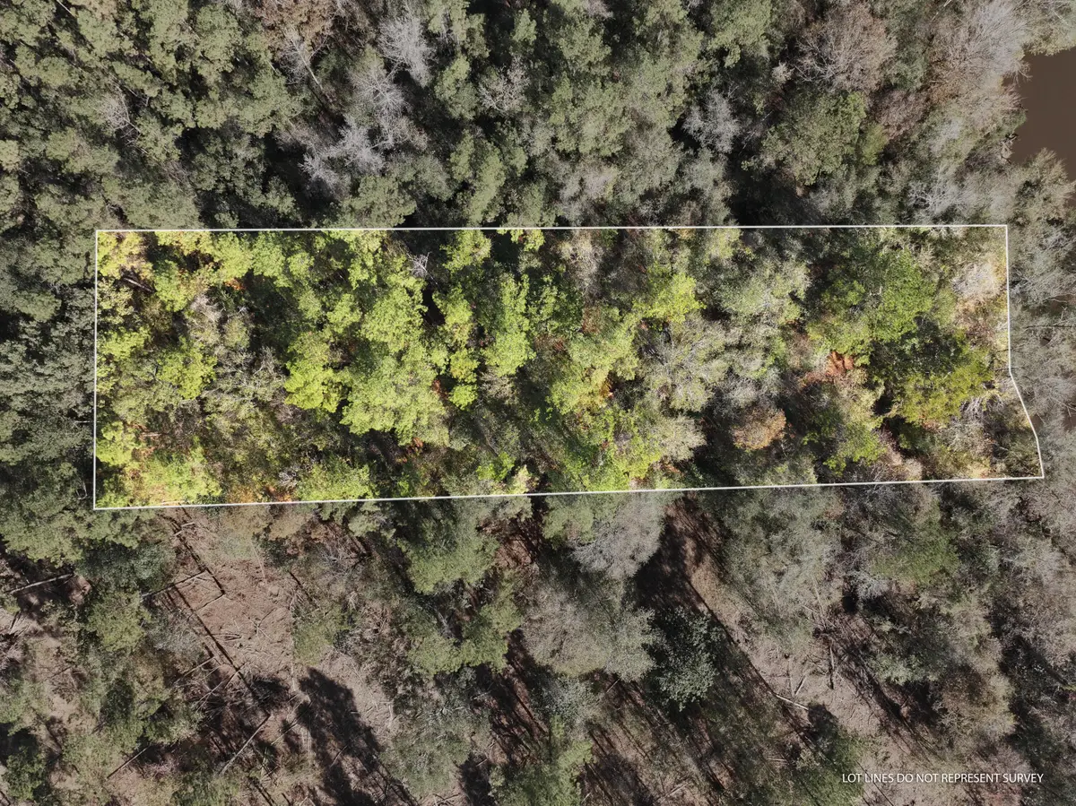 1.12 Mol Ac Old Hwy 24 Parcel 21, Mc Lain, MS 39456 - Image #1