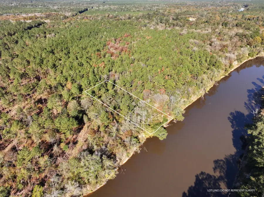 1.12 Mol Ac Old Hwy 24 Parcel 21, Mc Lain, MS 39456 - Image #2