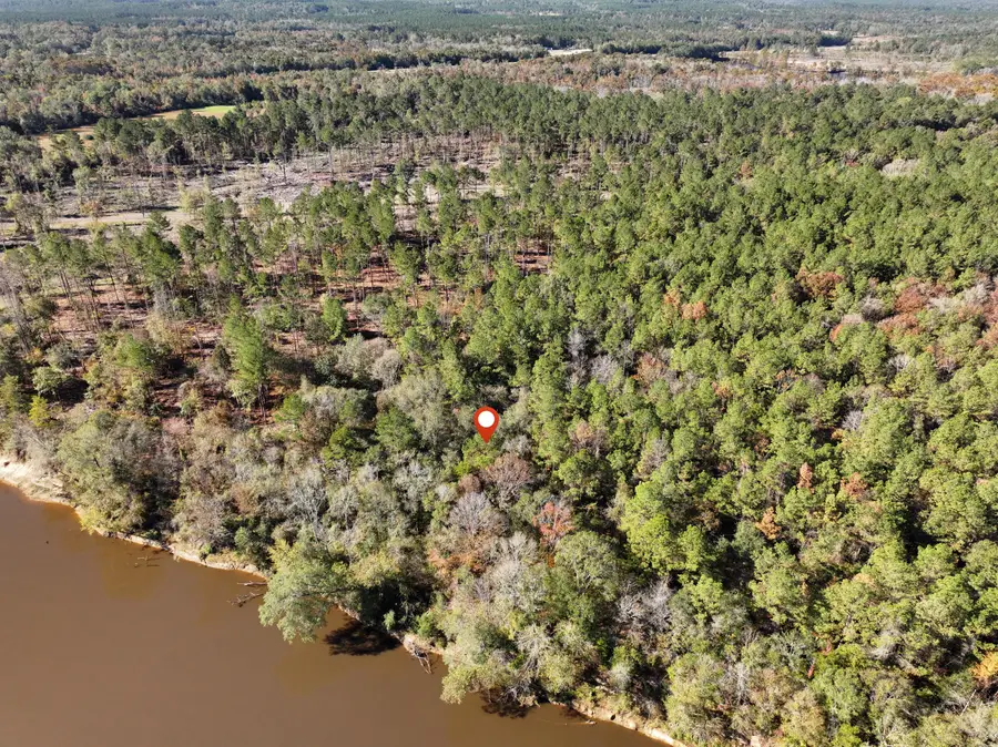 1.12 Mol Ac Old Hwy 24 Parcel 21, Mc Lain, MS 39456 - Image #3