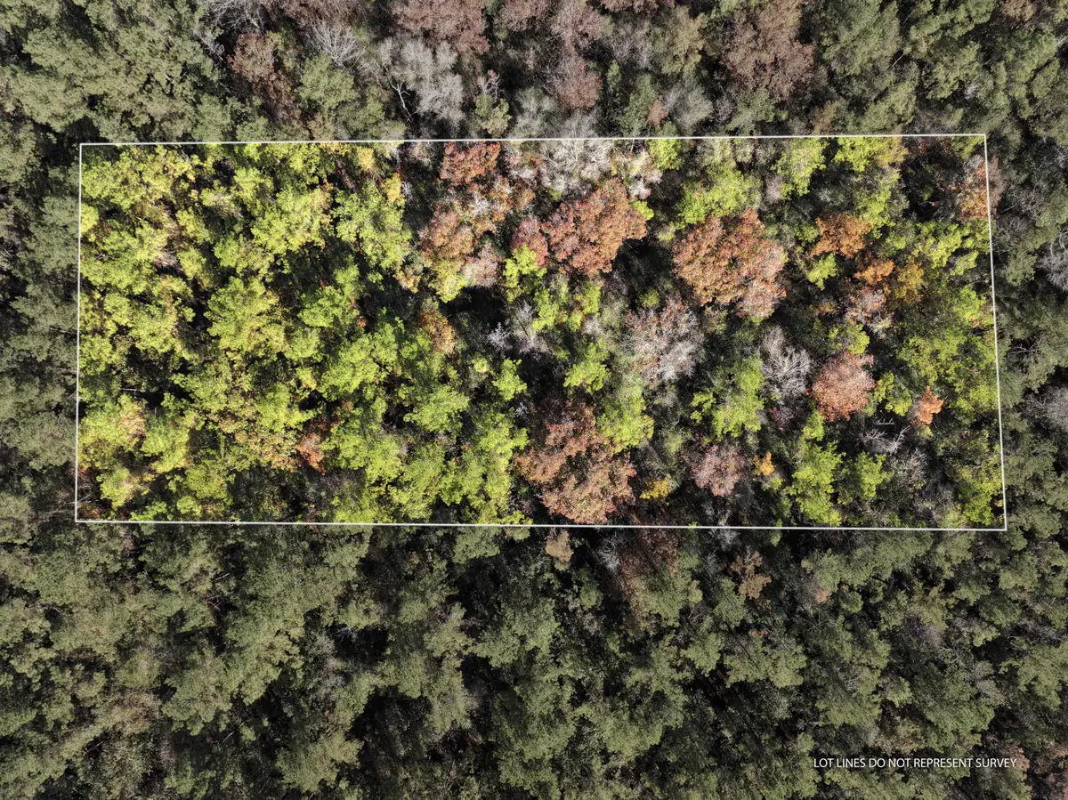 1.08 Mol Ac Old Hwy 24 Parcel 24, Mc Lain, MS 39456 - Image #1