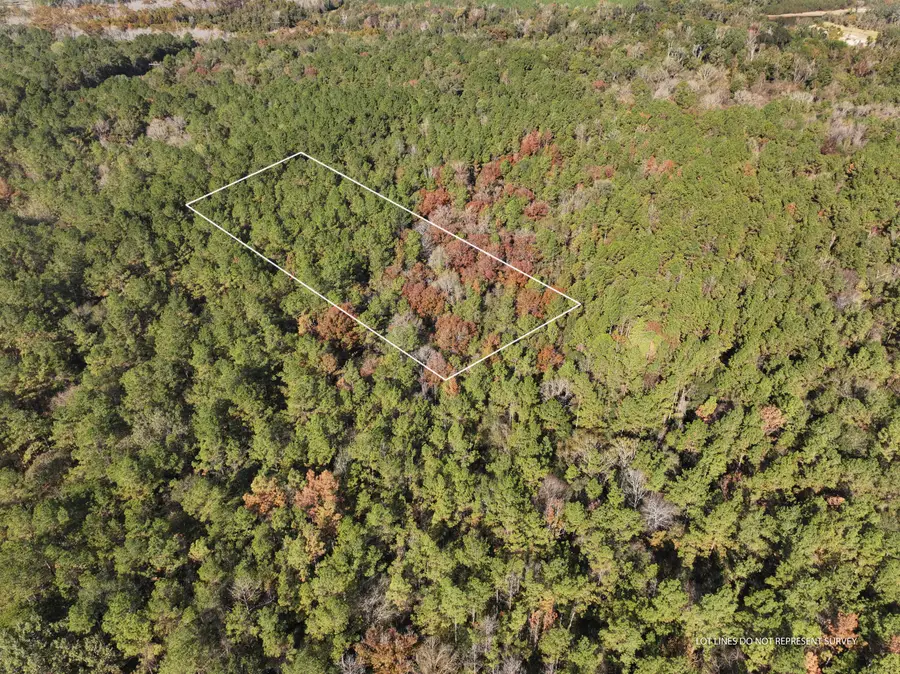 1.08 Mol Ac Old Hwy 24 Parcel 24, Mc Lain, MS 39456 - Image #2