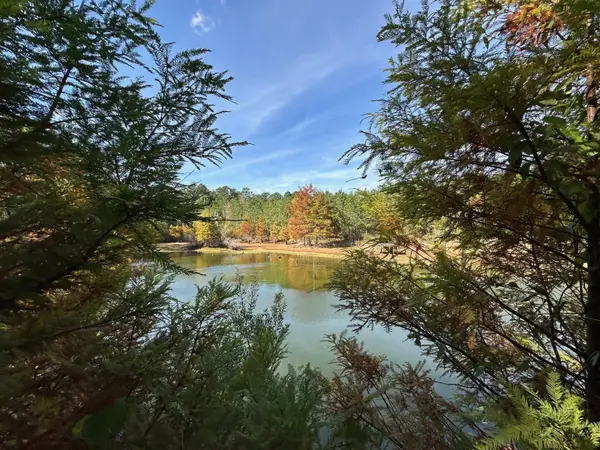 0 Decatur Conehatta Rd., Decatur, MS 39327