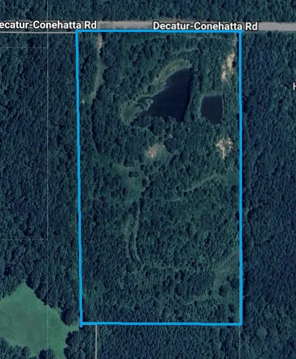 0 Decatur Conehatta Rd., Decatur, MS 39327 - Image #2