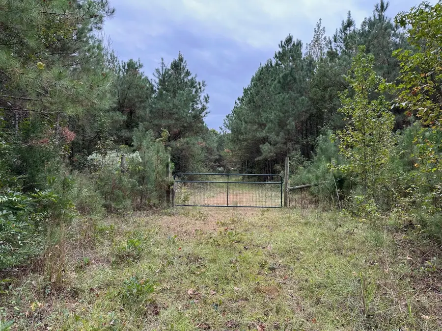 0 Decatur Conehatta Rd., Decatur, MS 39327 - Image #3