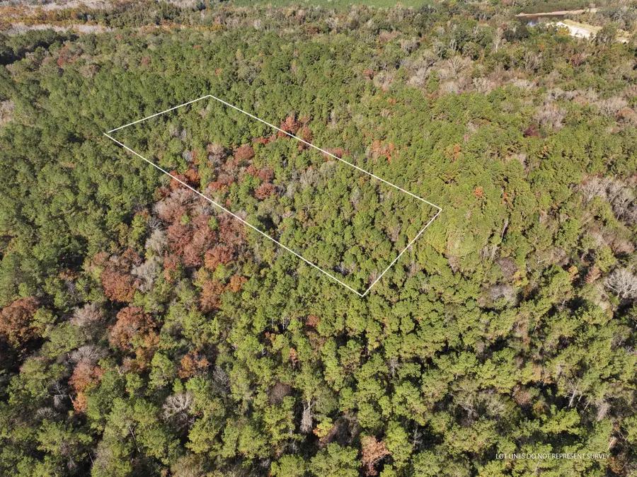 1.08 Mol Ac Old Hwy 24 Parcel 28, Mc Lain, MS 39456 - Image #2