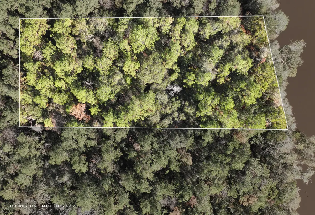 1.08 Mol Ac Old Hwy 24 Parcel 29, Mc Lain, MS 39456 - Image #1