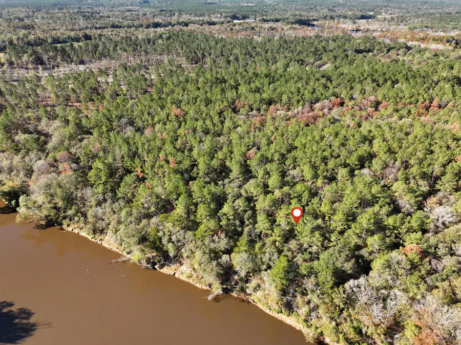 1.08 Mol Ac Old Hwy 24 Parcel 29, Mc Lain, MS 39456 - Image #3