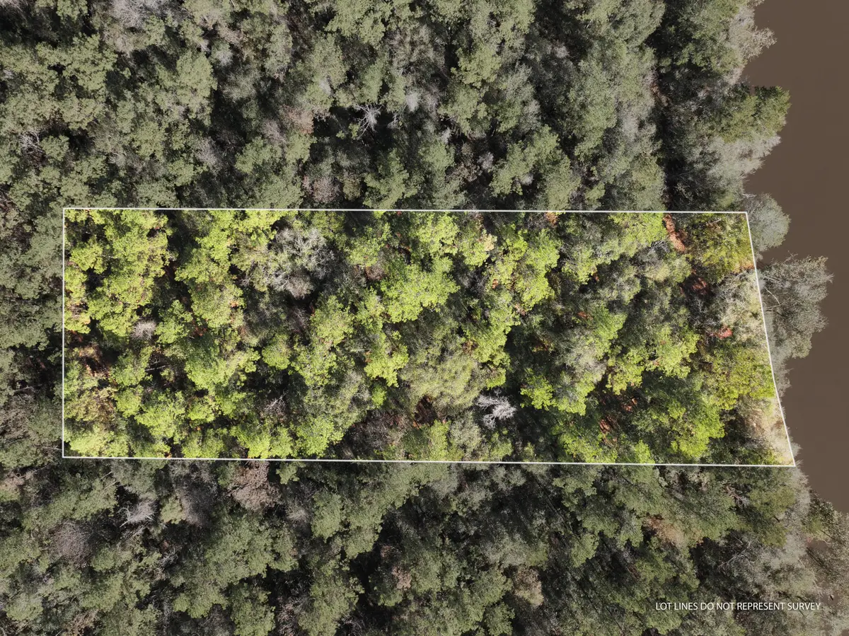 1.0 Mol Ac Old Hwy 24 Parcel 30, Mc Lain, MS 39456 - Image #1