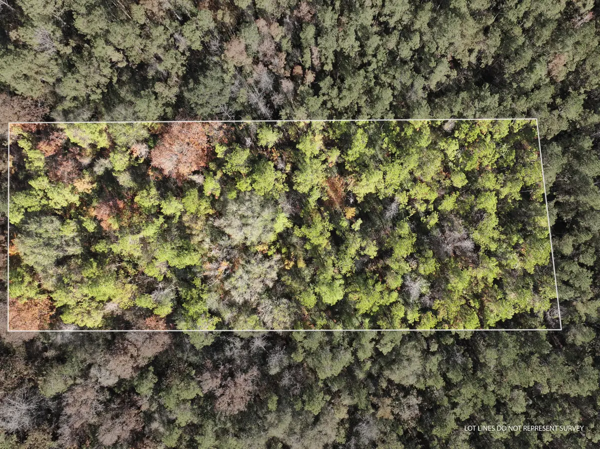 1.08 Mol Ac Old Hwy 24 Parcel 31, Mc Lain, MS 39456 - Image #1