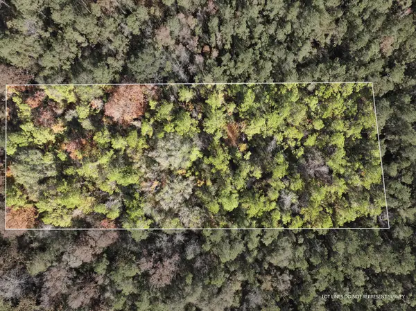 1.08 Mol Ac Old Hwy 24 Parcel 31, Mc Lain, MS 39456