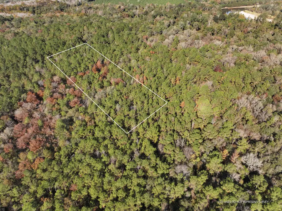 1.08 Mol Ac Old Hwy 24 Parcel 31, Mc Lain, MS 39456 - Image #2