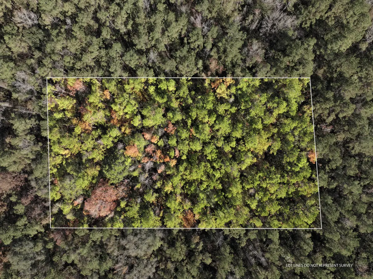 1.08 Mol Ac Old Hwy 24 Parcel 32, Mc Lain, MS 39456 - Image #1